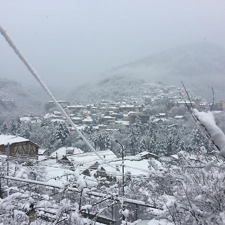 Greenland 호텔 보르조미 외부 사진